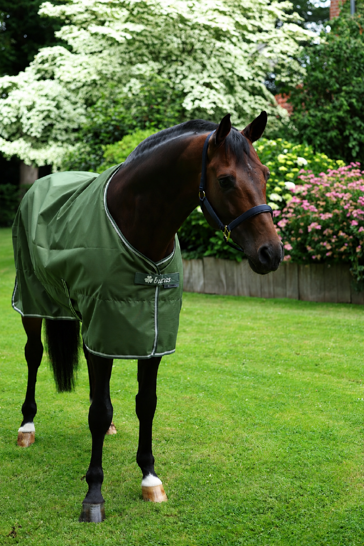 bucas Outdoordecke Freedom Turnout 0 g